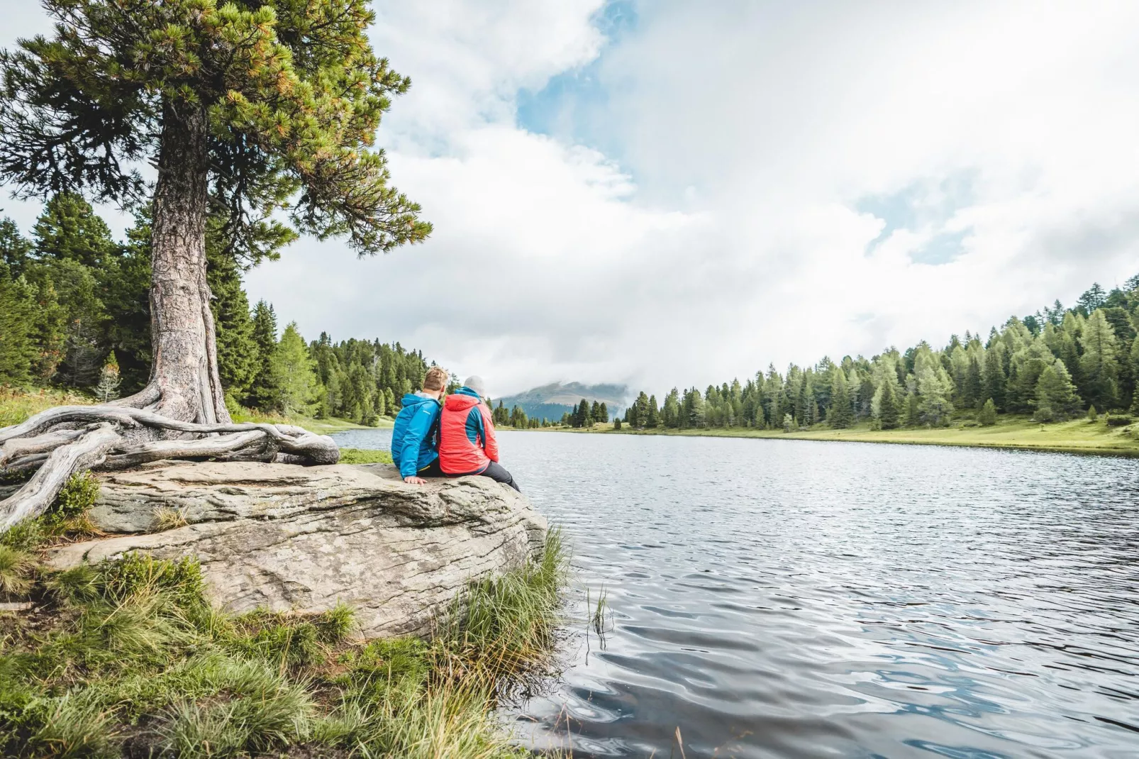 Alpenpark Turrach 5-Gebieden zomer 5km