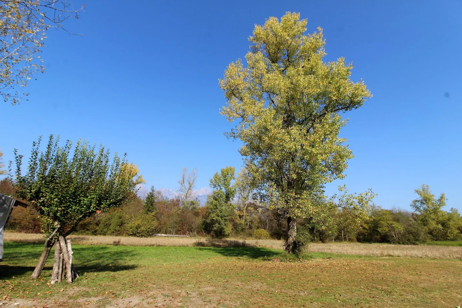 Cason sul Piave-Tuinen zomer