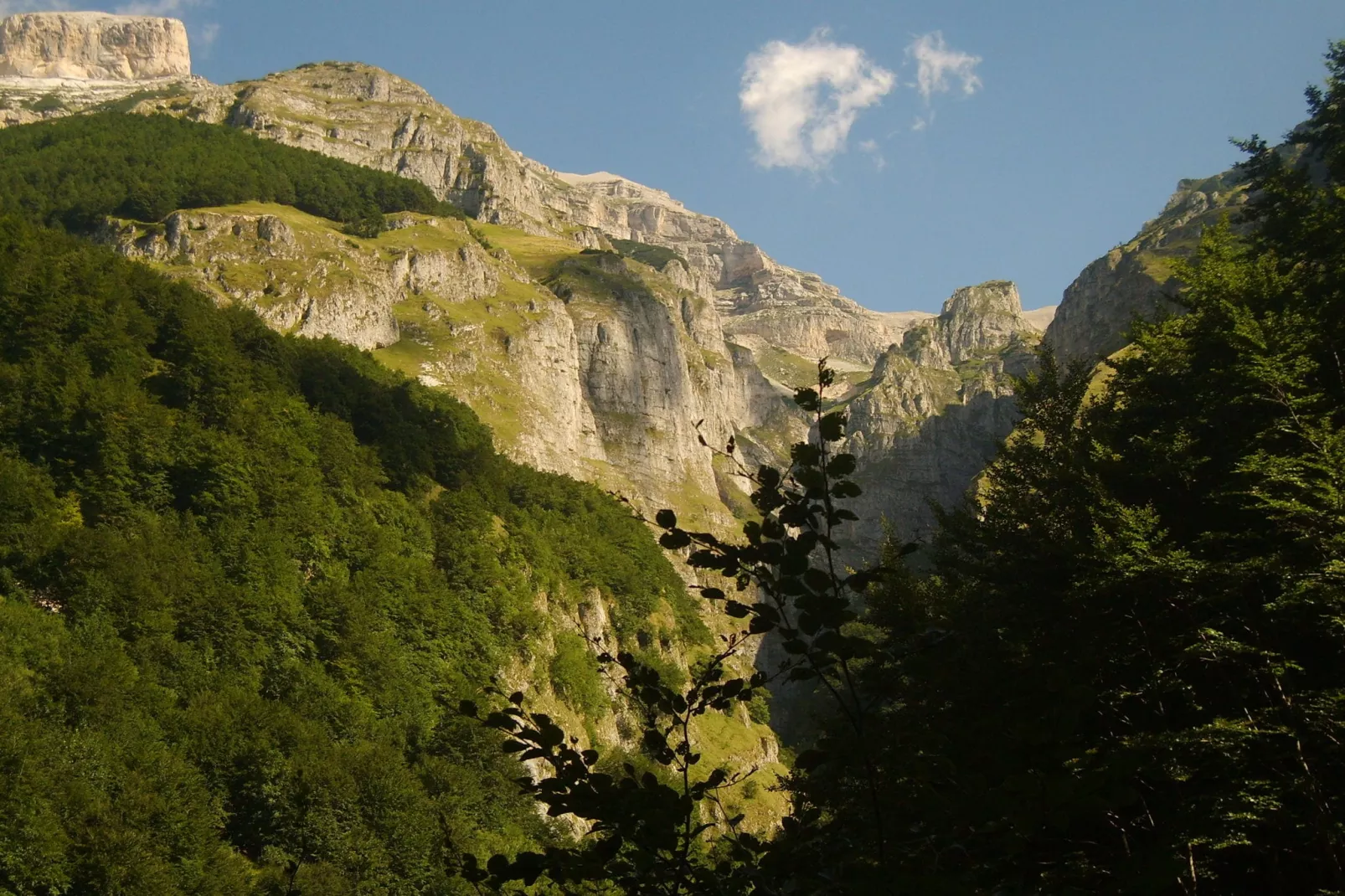 Villa Insieme-Gebieden zomer 1km