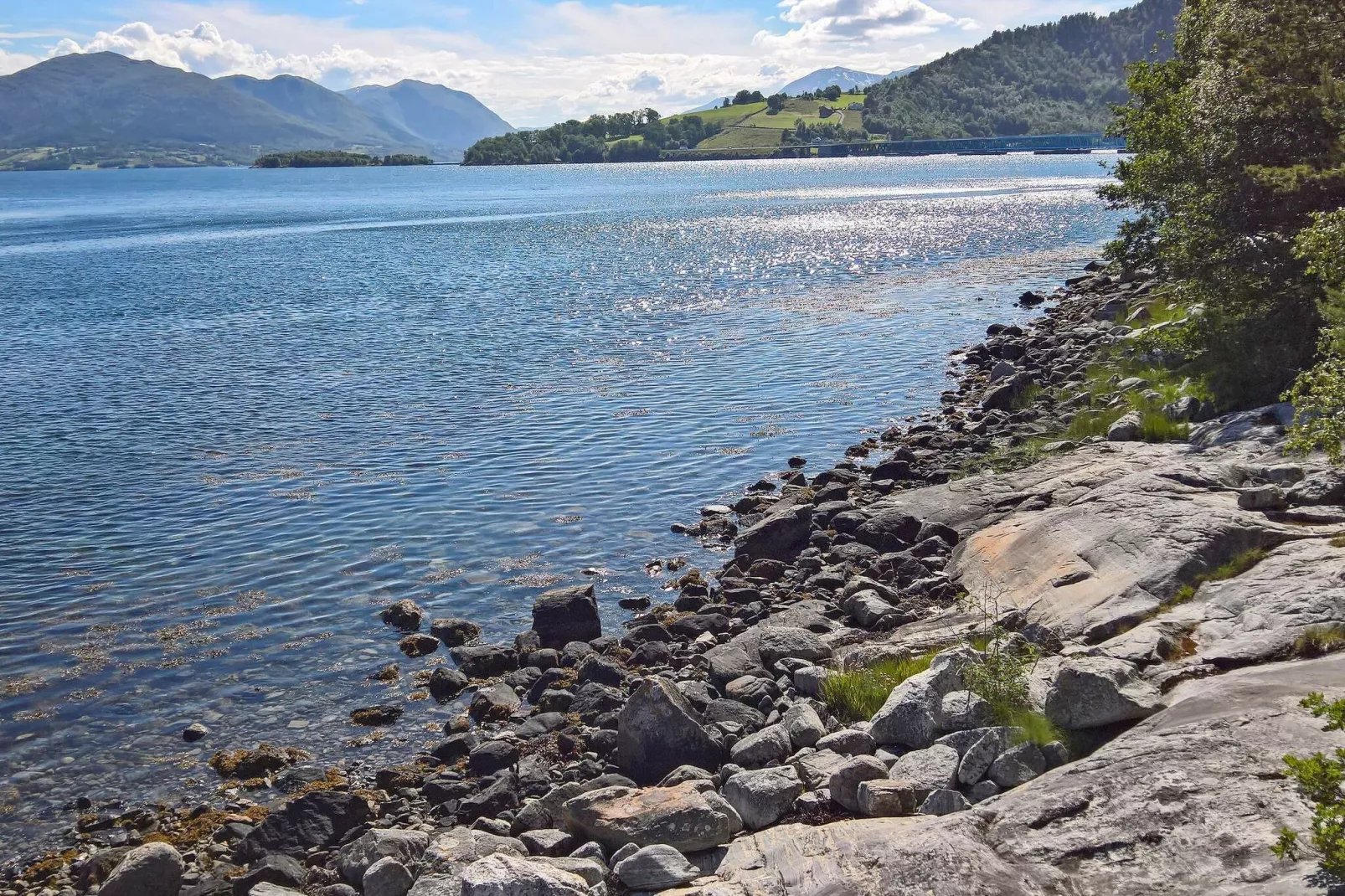 FJORDGLØTT-Niet-getagd