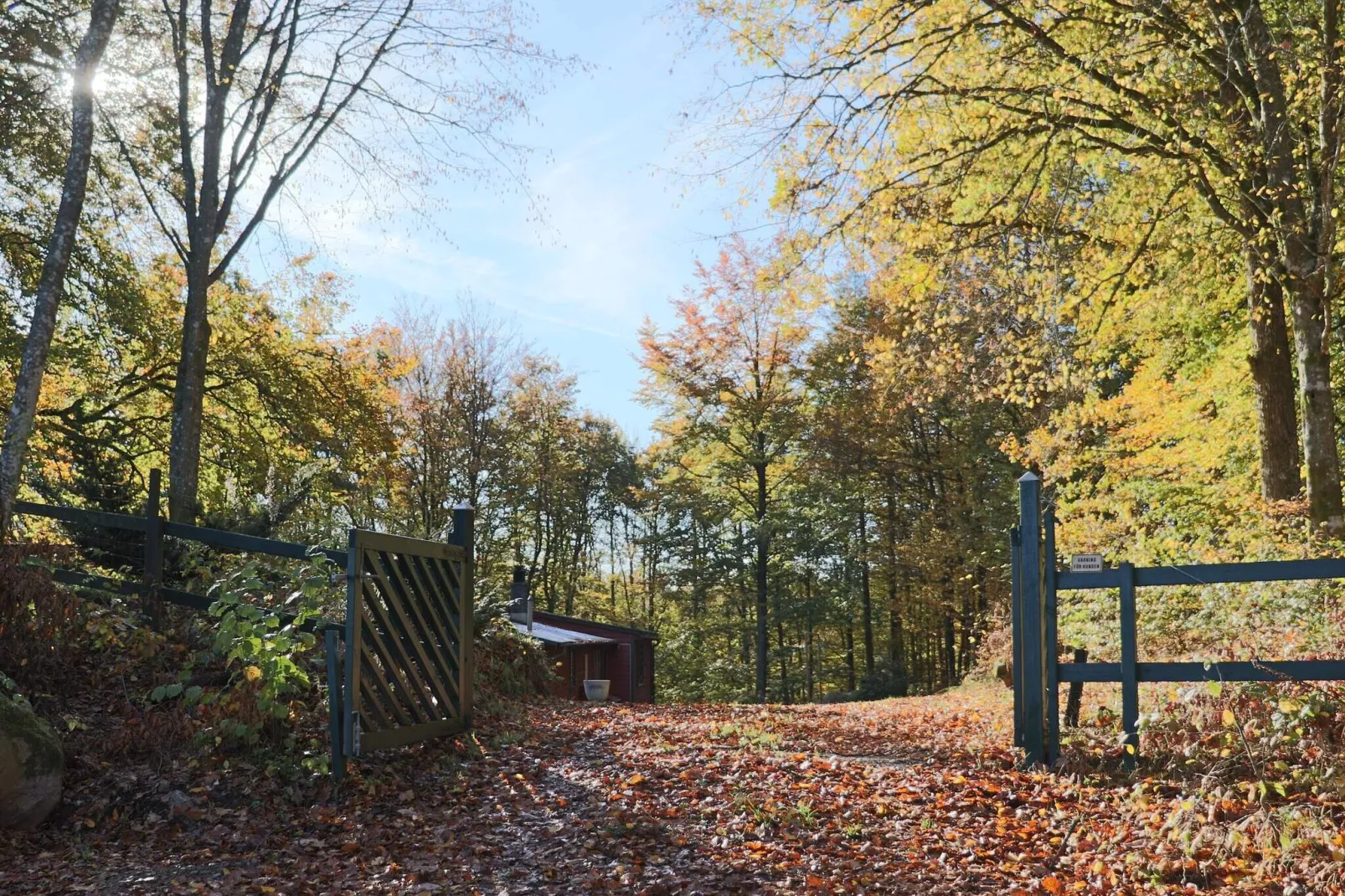 4 persoons vakantie huis in SKÅNES-FAGERHULT-Buitenlucht