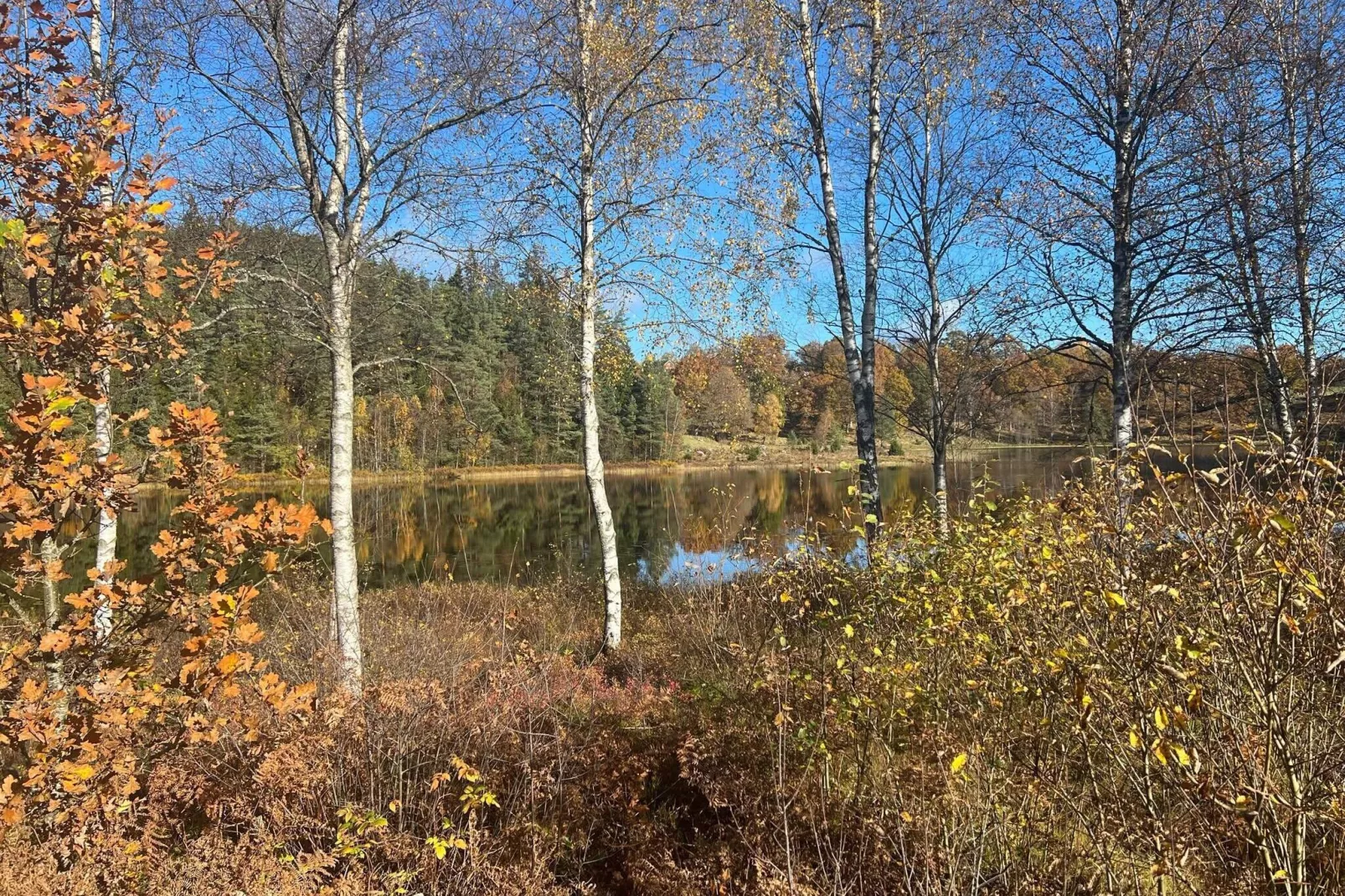 4 persoons vakantie huis in Hillerstorp-By Traum-Niet-getagd