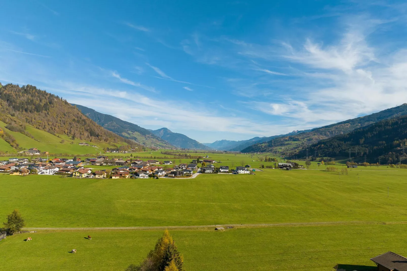 Haus Niedernsill-Gebieden zomer 1km