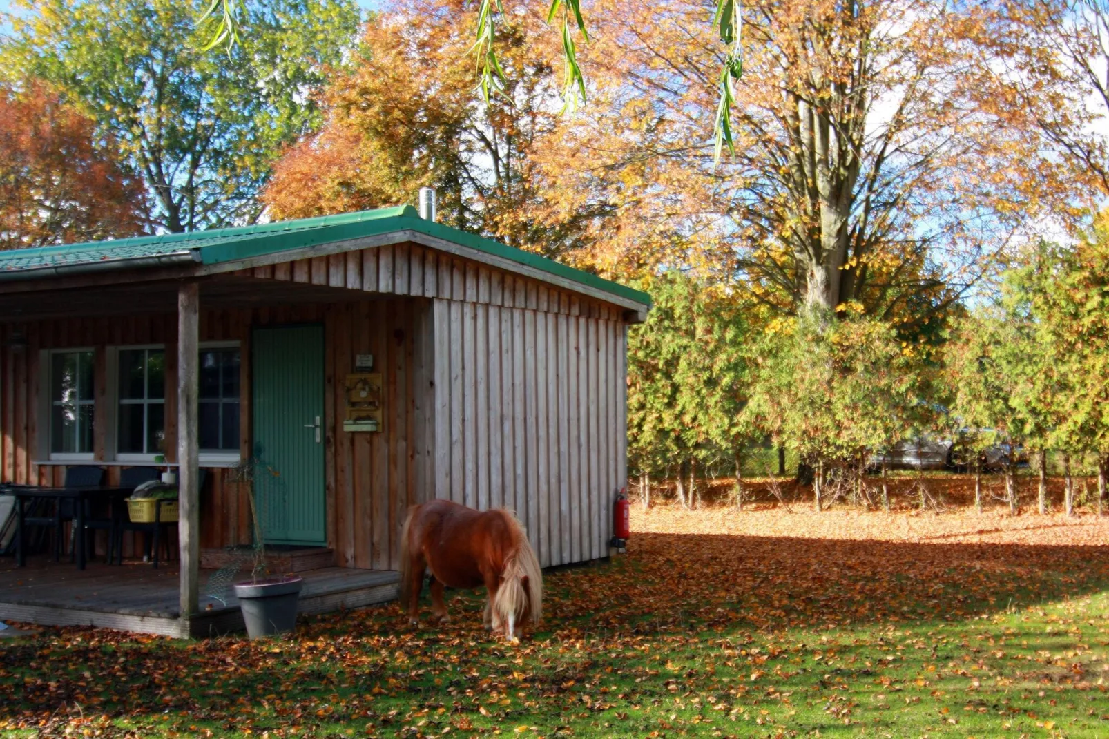Haus 12 - 2 Personen - Exterieur winter