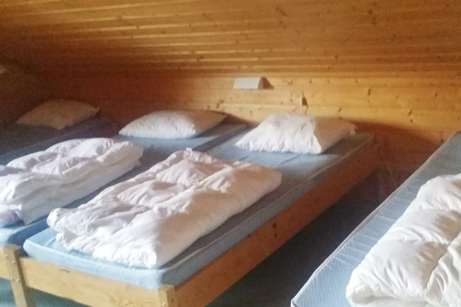 27 persoons vakantie huis in dyrdal-By Traum-Binnen