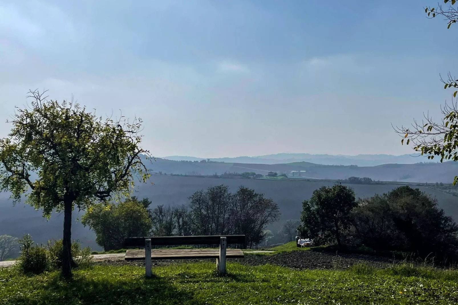 Il Sogno delle Api-Tuinen zomer