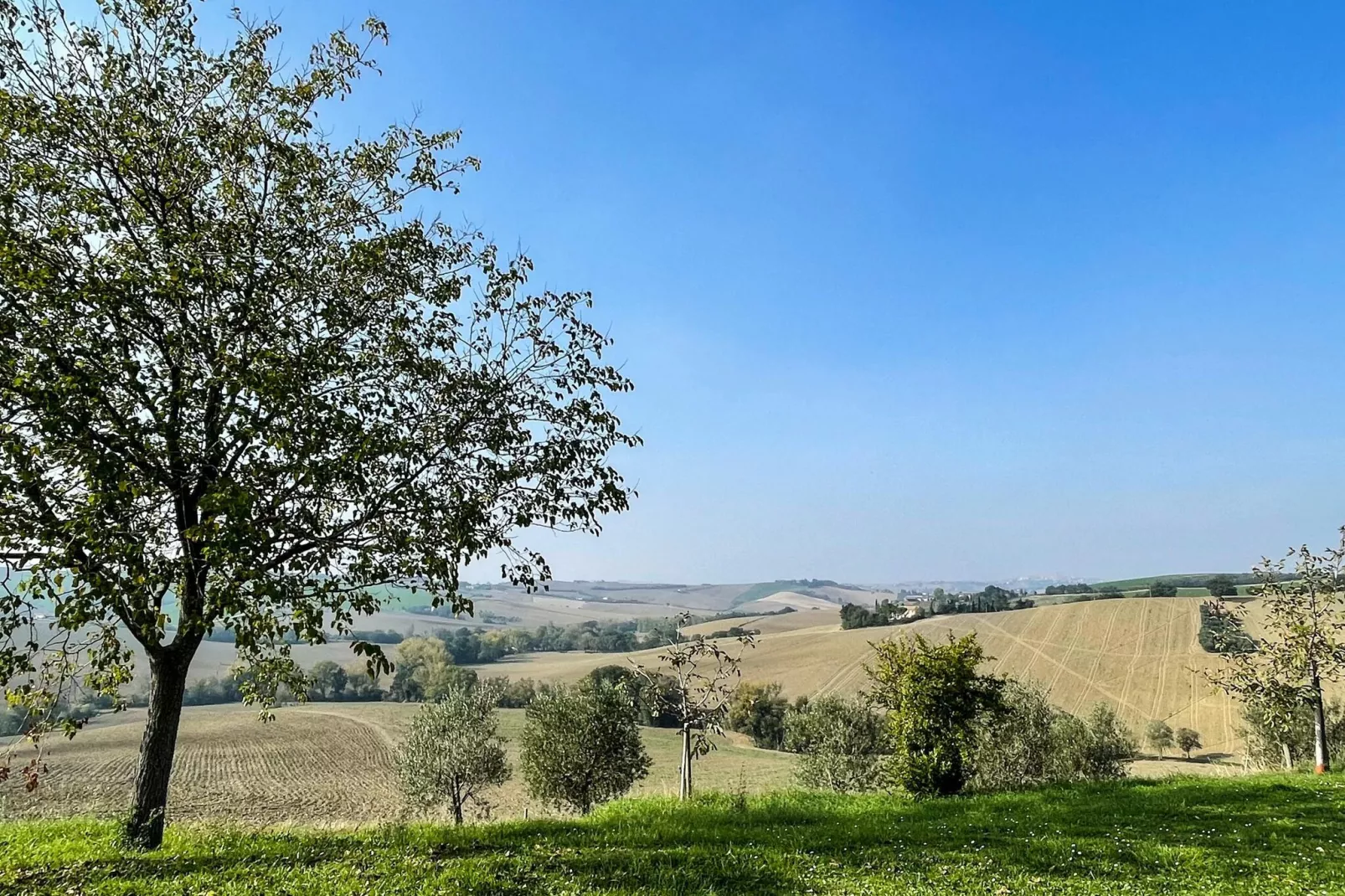 Il Sogno delle Api-Uitzicht zomer