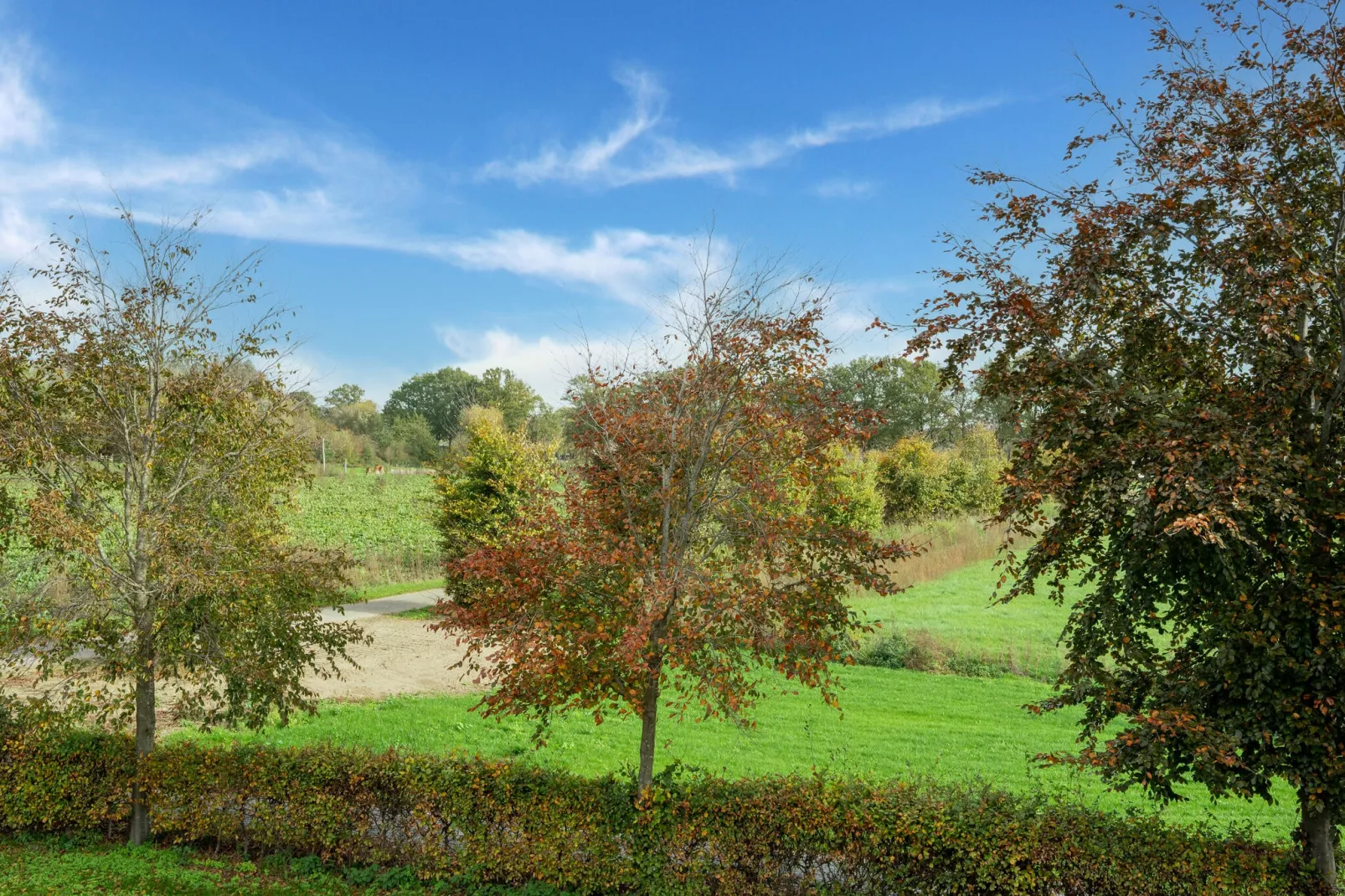 Genieten in Silvolde II-Uitzicht zomer