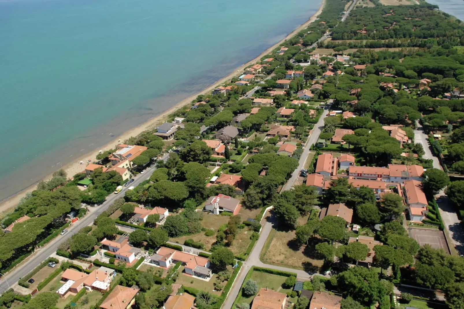 Gioia-Gebieden zomer 1km