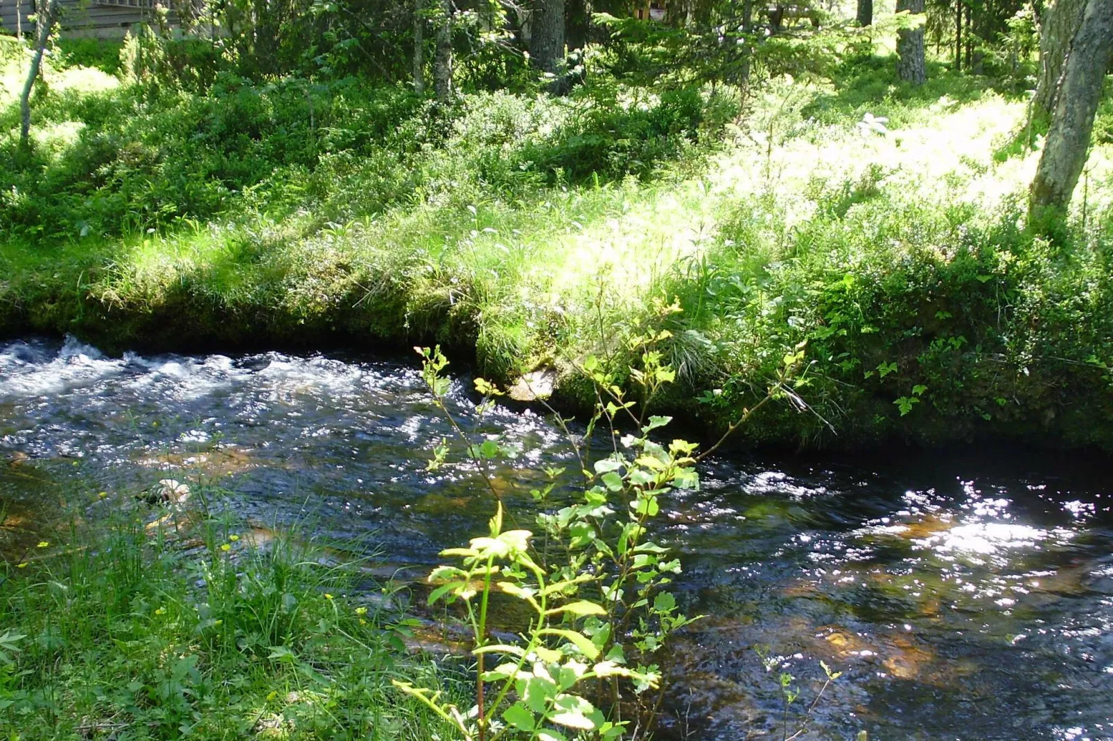 7 persoons vakantie huis in SÄLEN-By Traum-Niet-getagd