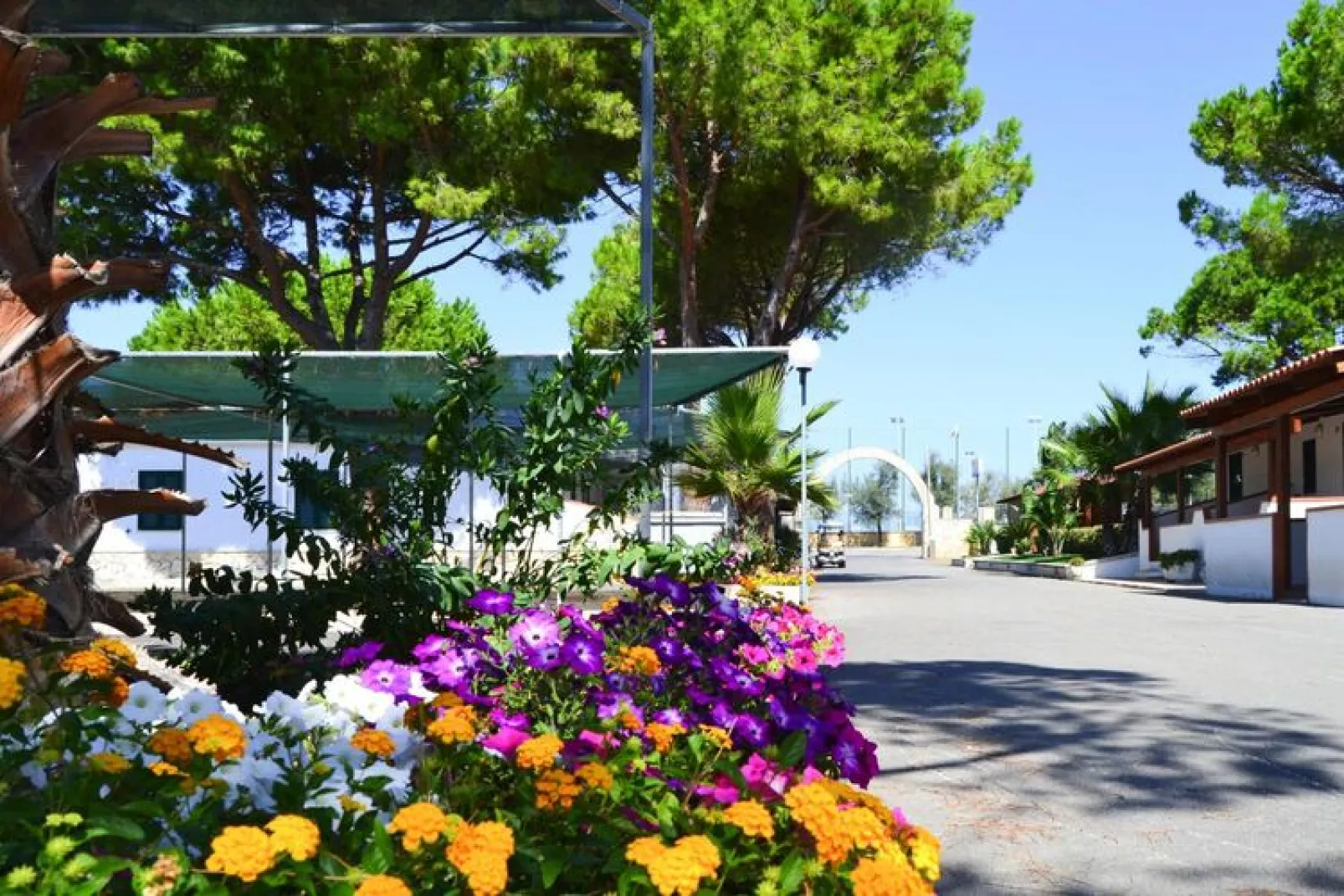 Holiday resort Villaggio Lido del Mare Rodi Garganico- Row bungalows Bilo 4-Tuinen zomer