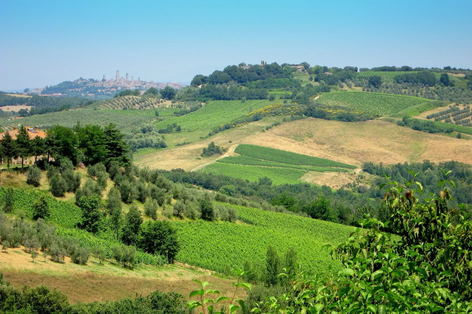 Il Torrino del Borgo-Gebieden zomer 5km