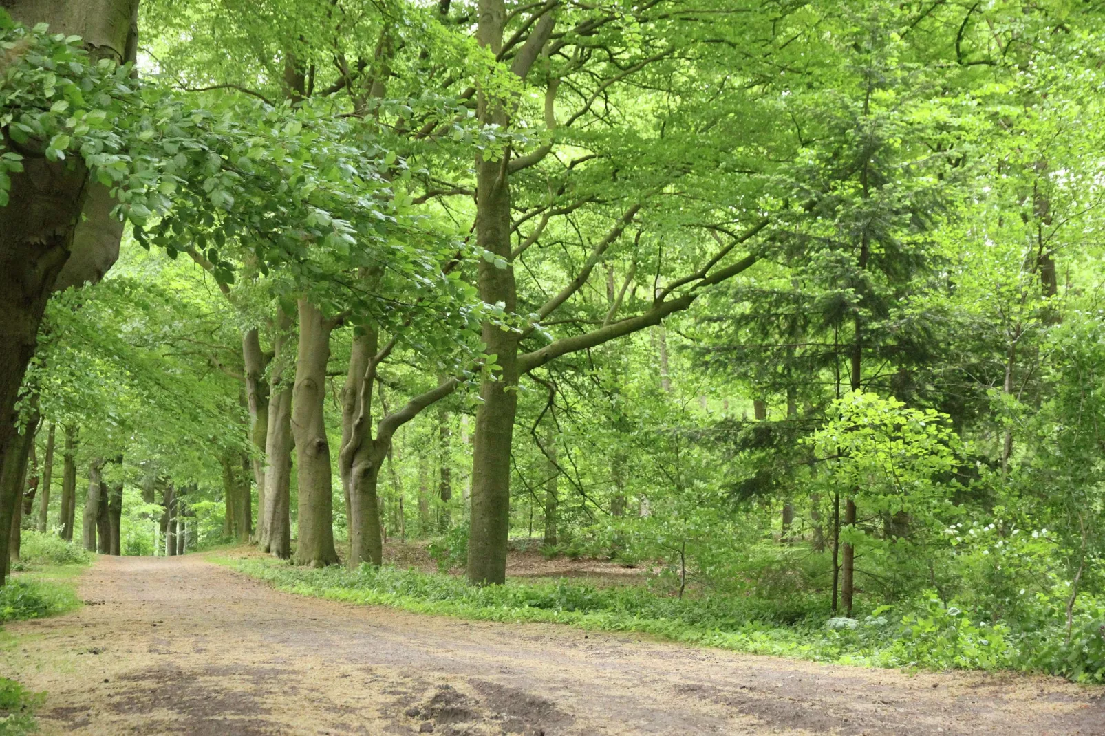 Vakantiehuis De Vlonder-Gebieden zomer 1km
