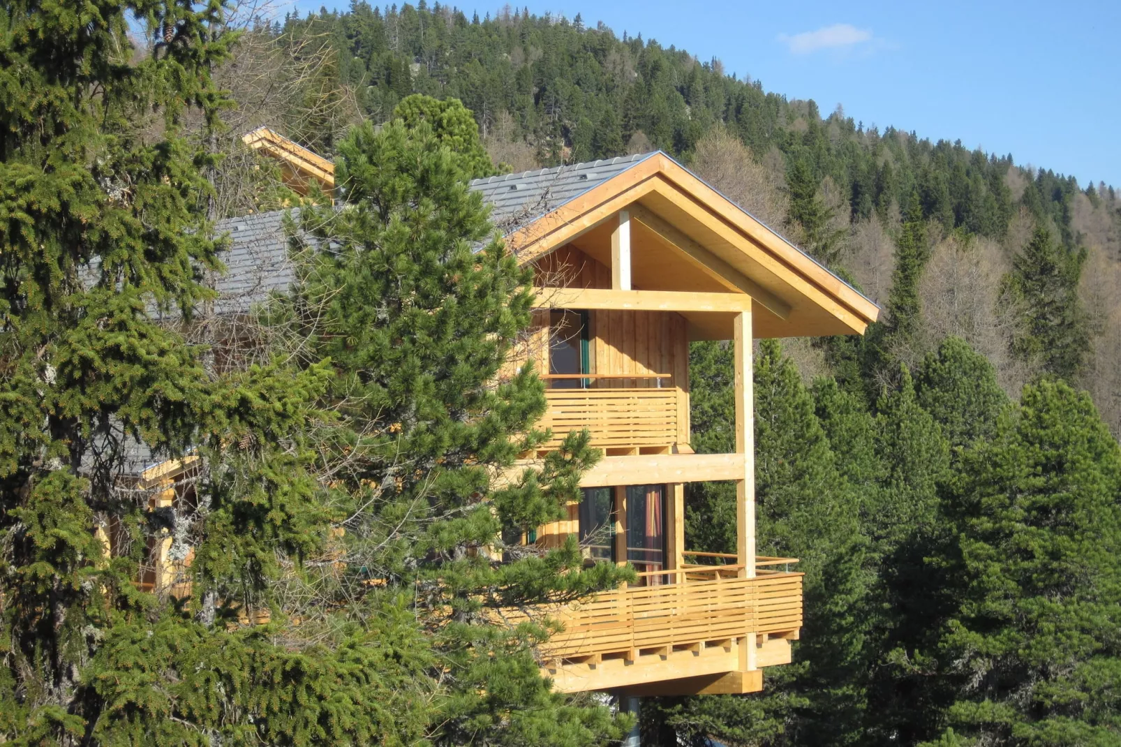 Alpenpark Turrach Chalets 4-Buitenkant zomer