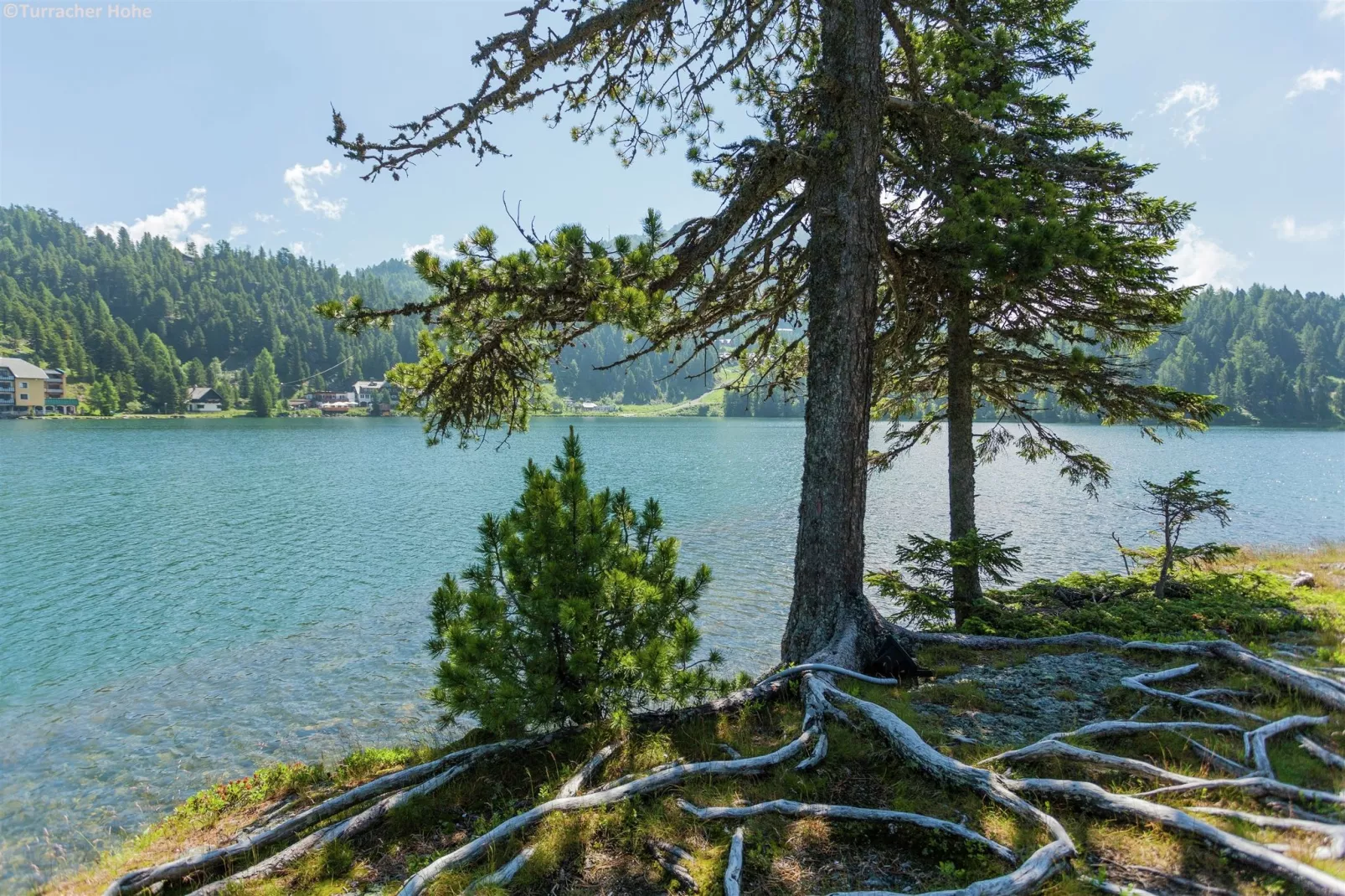 Alpenpark Turrach 5-Gebieden zomer 1km
