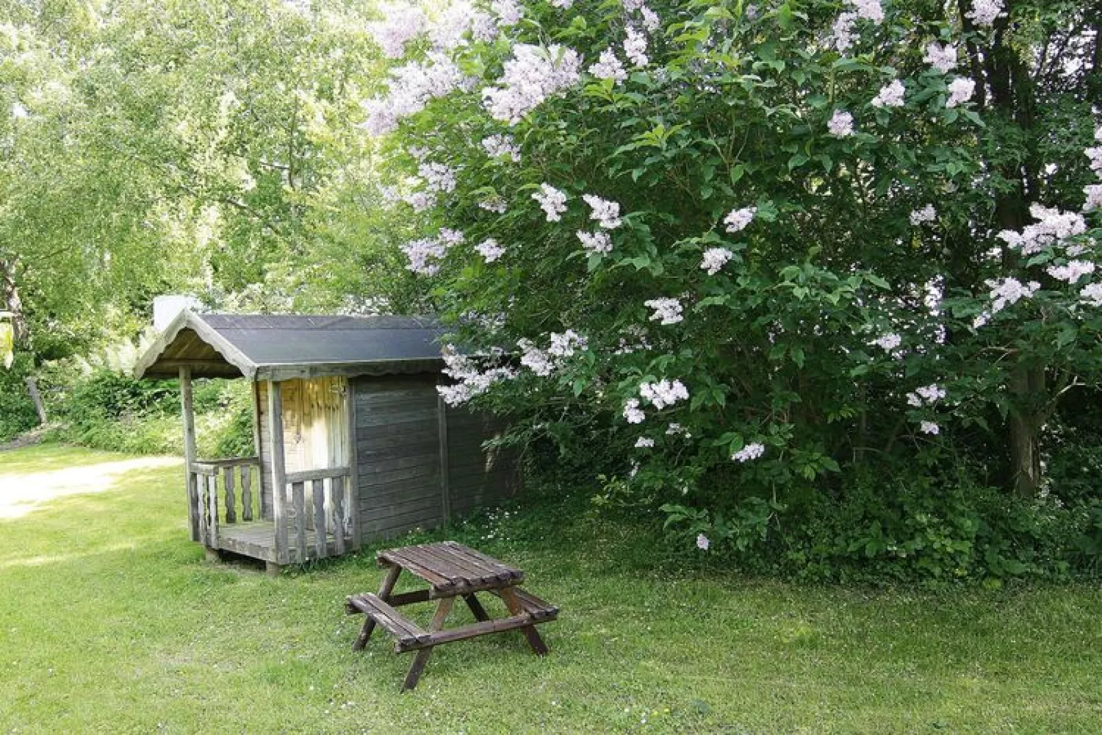 Ferienhaus Damp 90 qm 5 Personen-Tuinen zomer