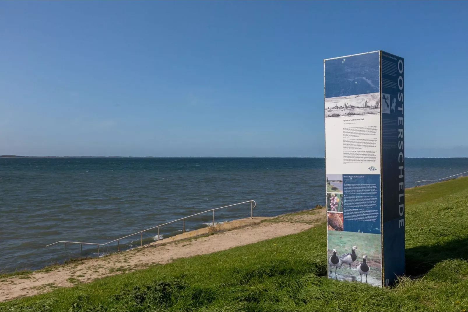 De Zeester Gorishoeksedijk 41-Gebieden zomer 1km