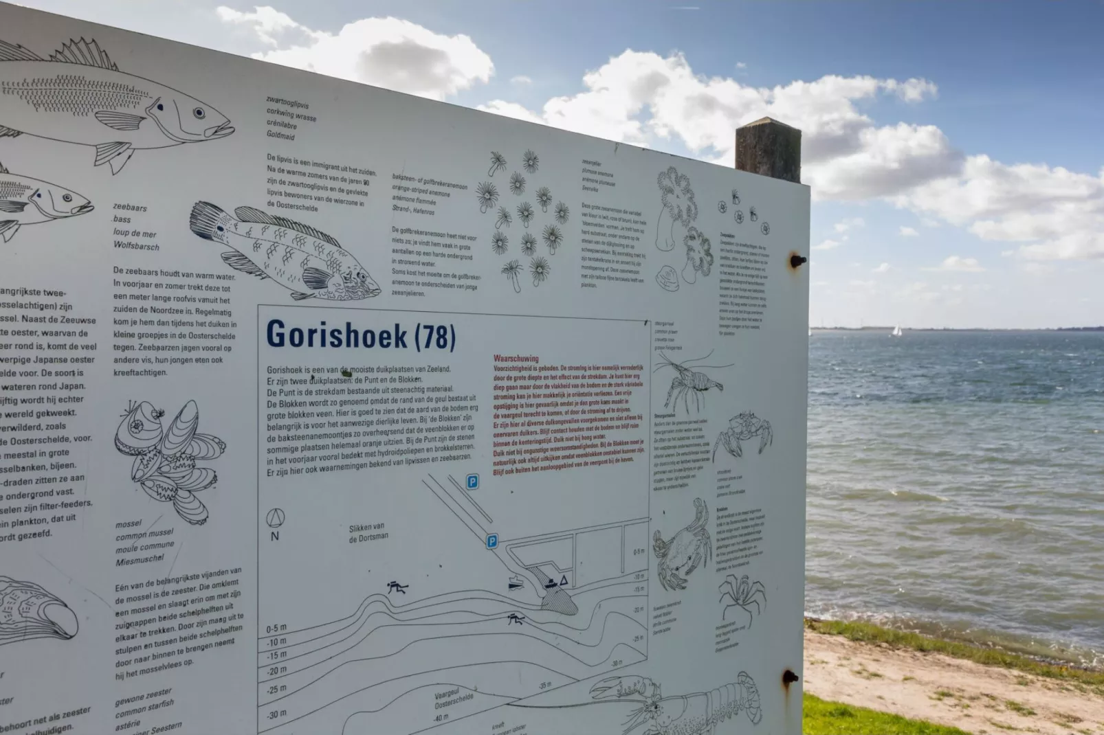 De Zeester Gorishoeksedijk 41-Gebieden zomer 1km