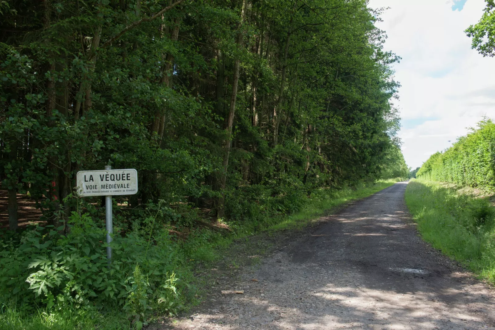 Tolifaz-Gebieden zomer 5km