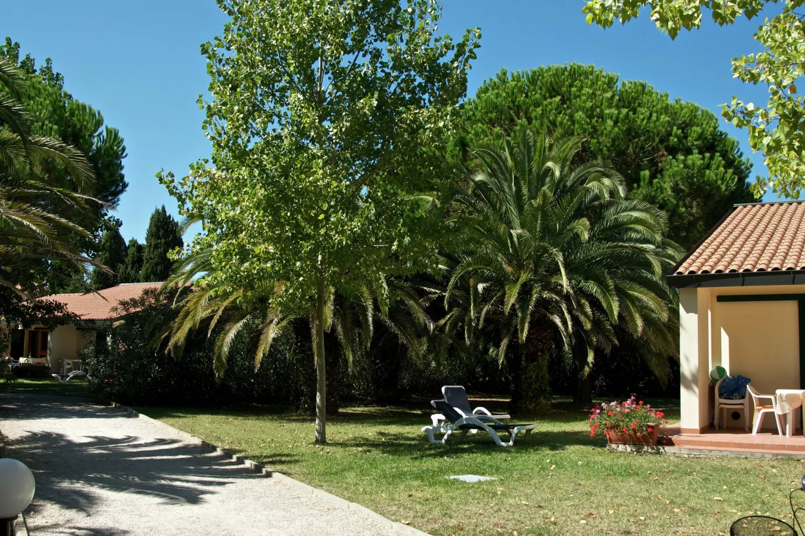 Ghiacci Vecchi 2-Tuinen zomer