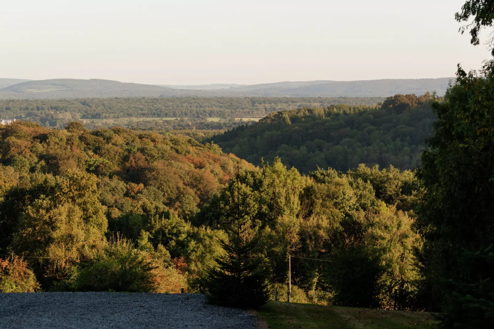 Chalet Durbuy XL-Gebieden zomer 1km