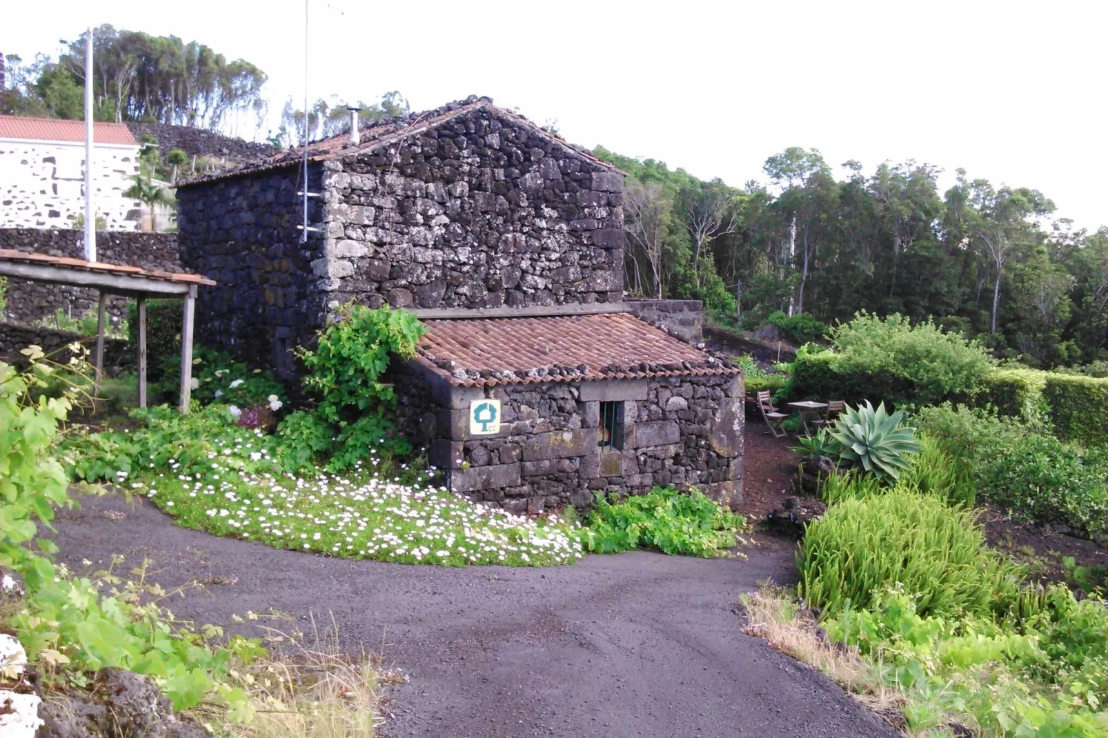 Holiday home in Praínha - Pico - Azores / Casa da Adega-Buitenkant zomer
