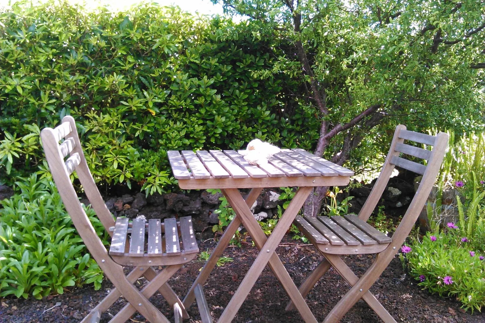Holiday home in Praínha - Pico - Azores / Casa da Adega-Tuinen zomer