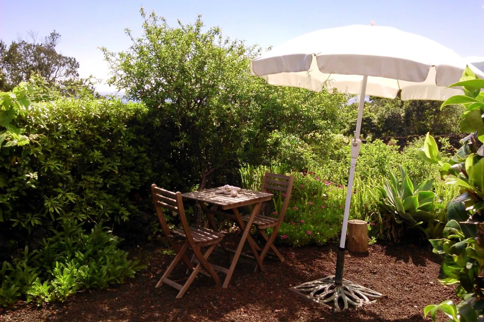 Holiday home in Praínha - Pico - Azores / Casa da Adega-Tuinen zomer