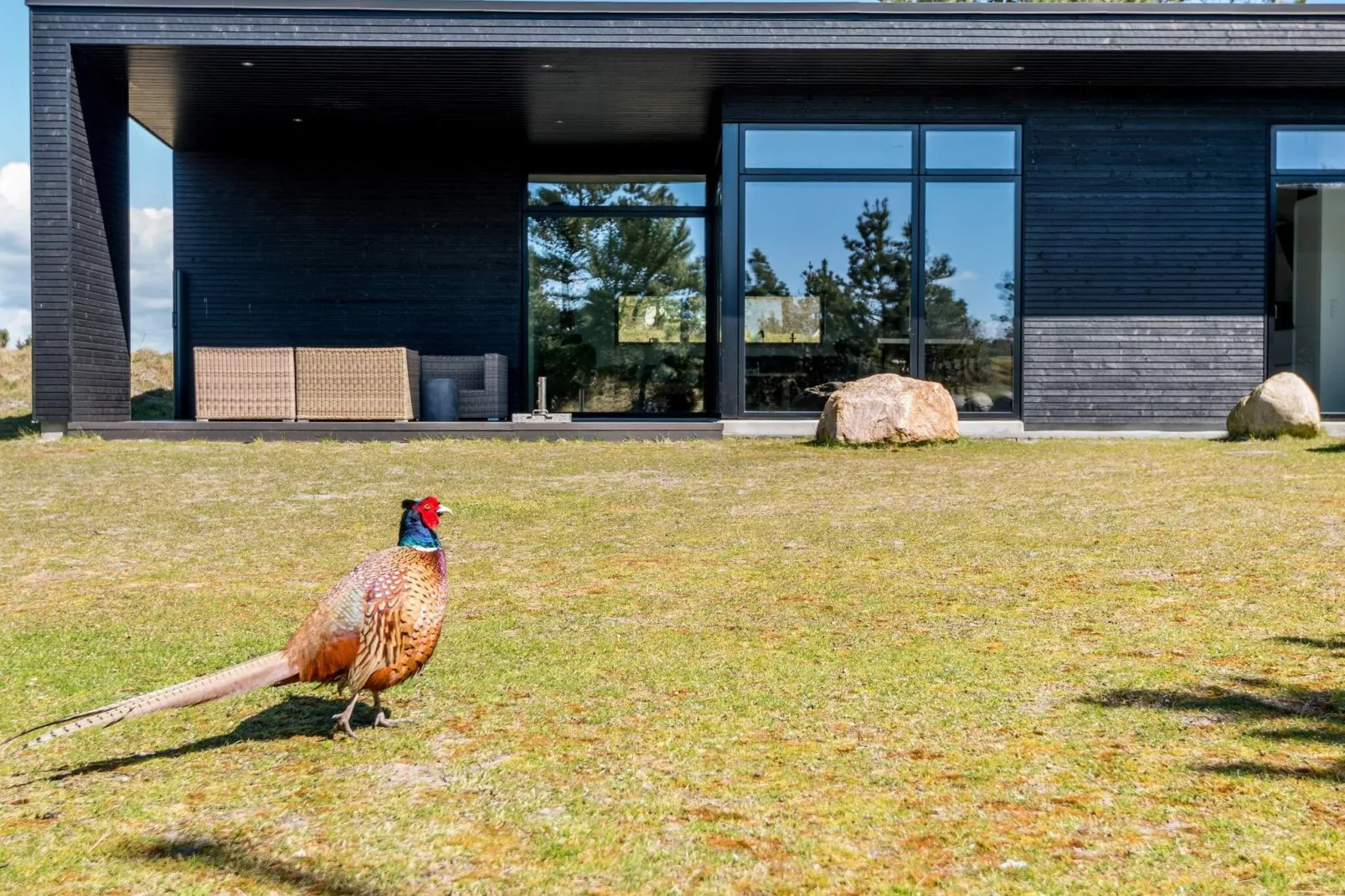 6 persoons vakantie huis in Fanø-Niet-getagd