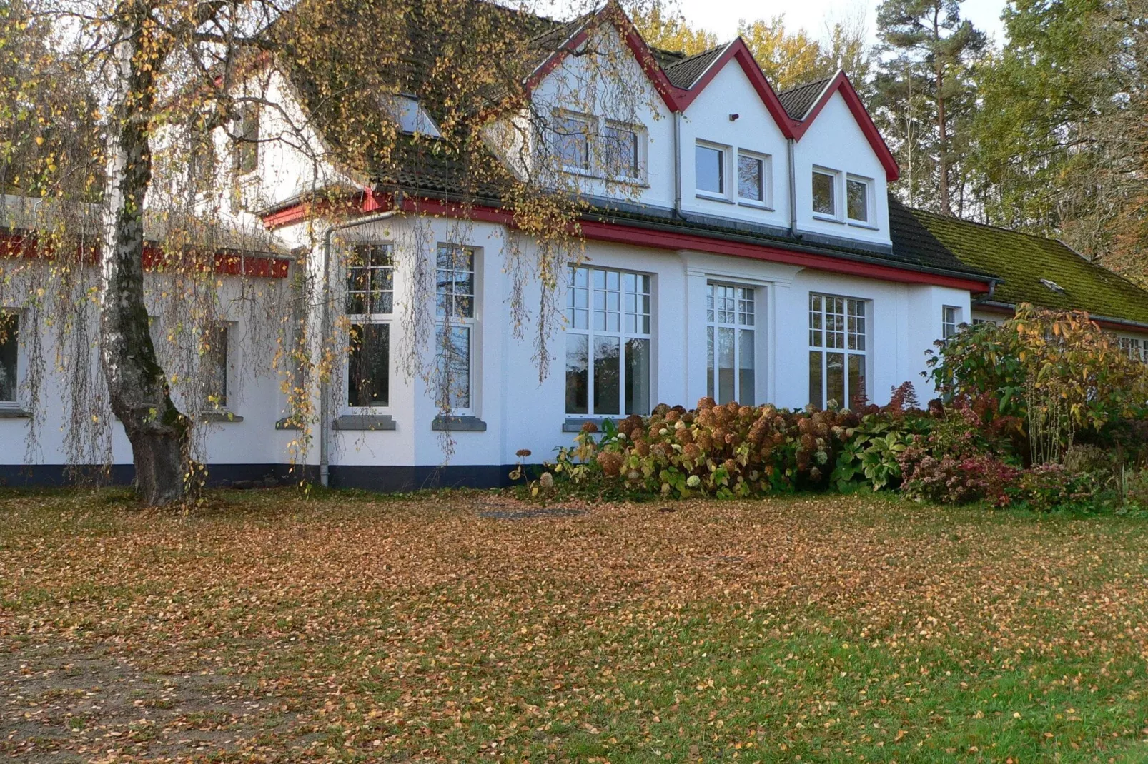 Ostseeblick Kühlungsborn mit Terrasse und Garten-Buitenkant zomer