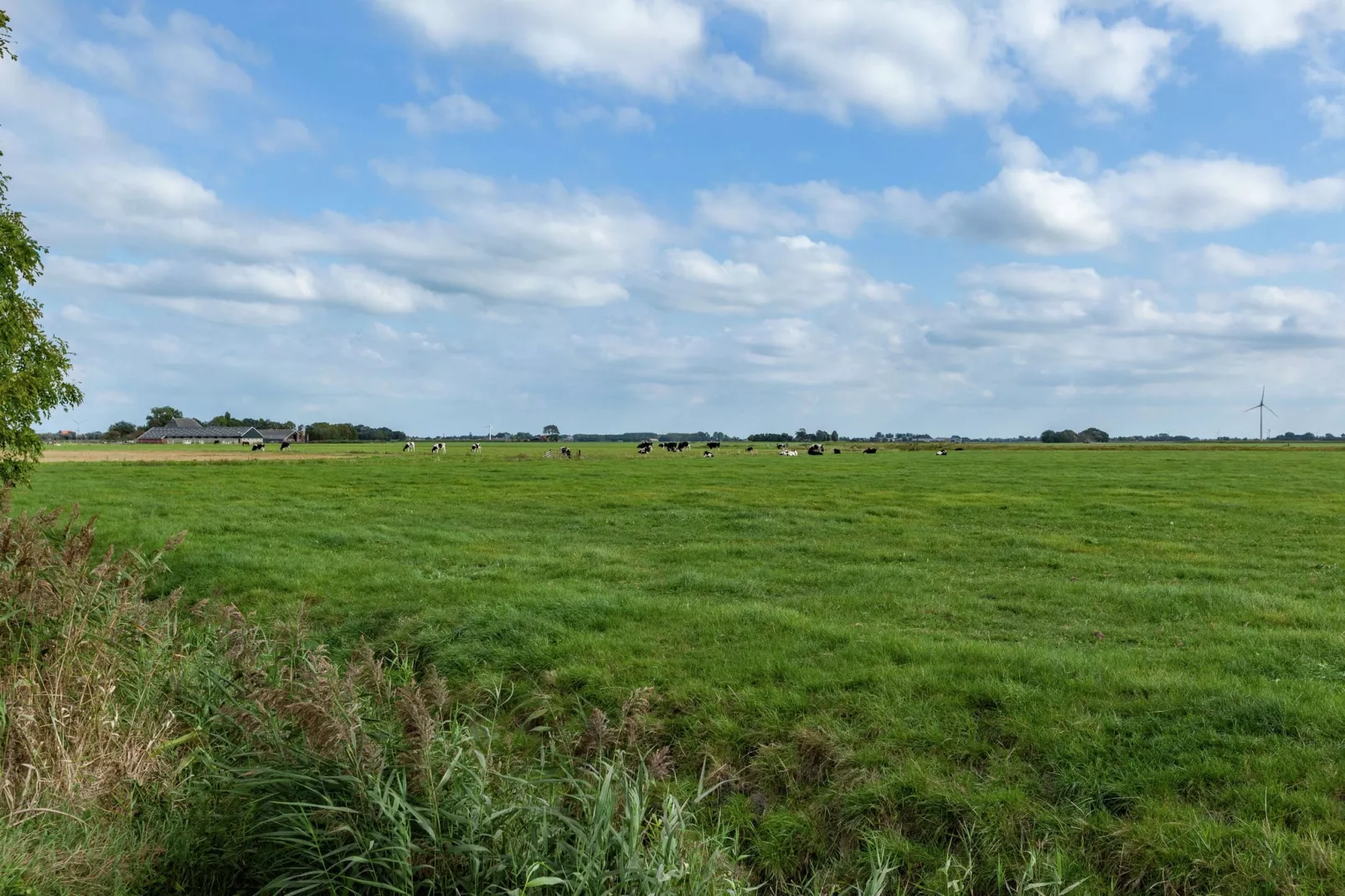 't Friese Koetshuis-Uitzicht zomer