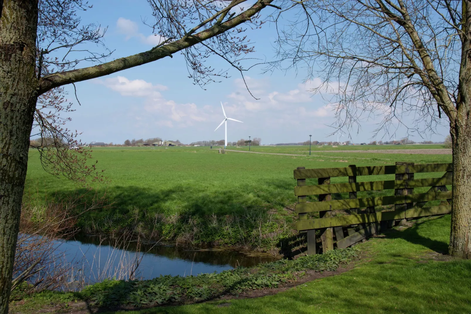 't Friese Koetshuis-Uitzicht zomer