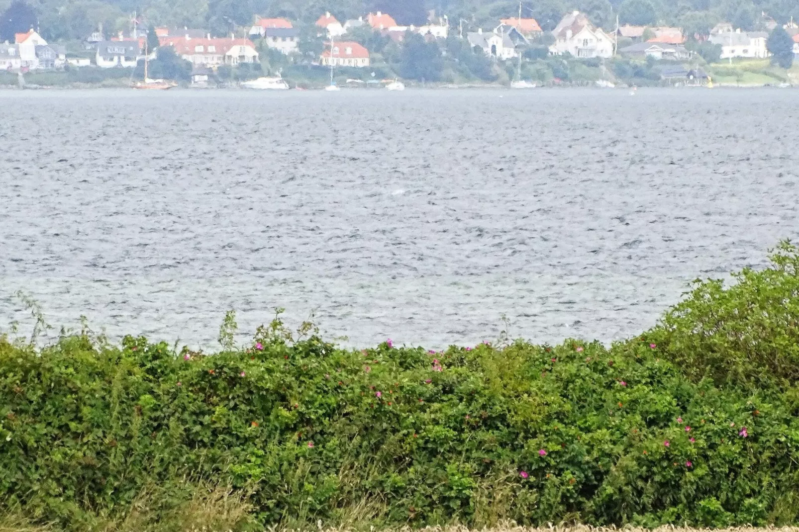 Imposante vakantiewoning in Svendborg met fitnesstoestellen-Waterzicht