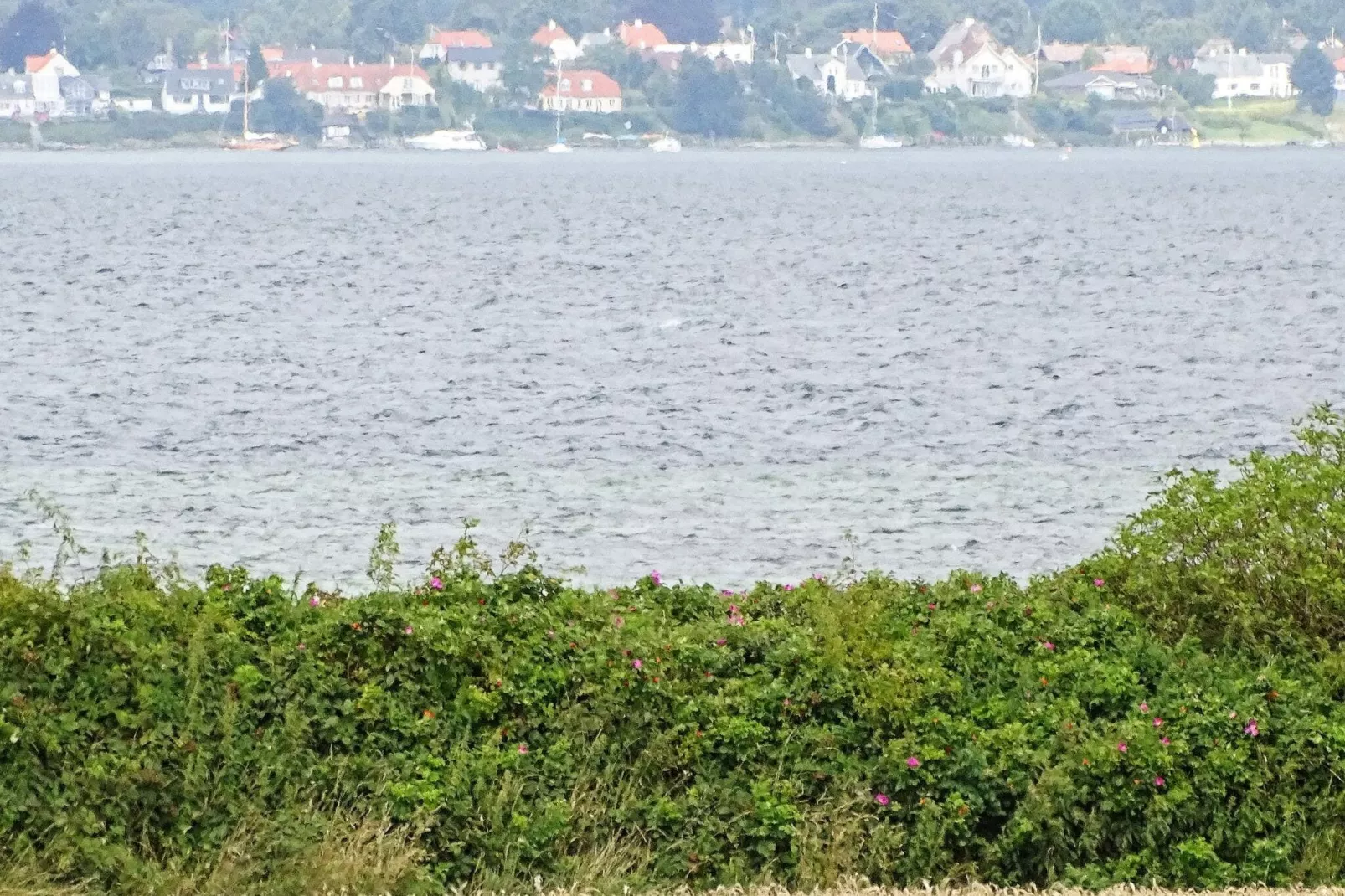 8 persoons vakantie huis in Svendborg-By Traum-Waterzicht