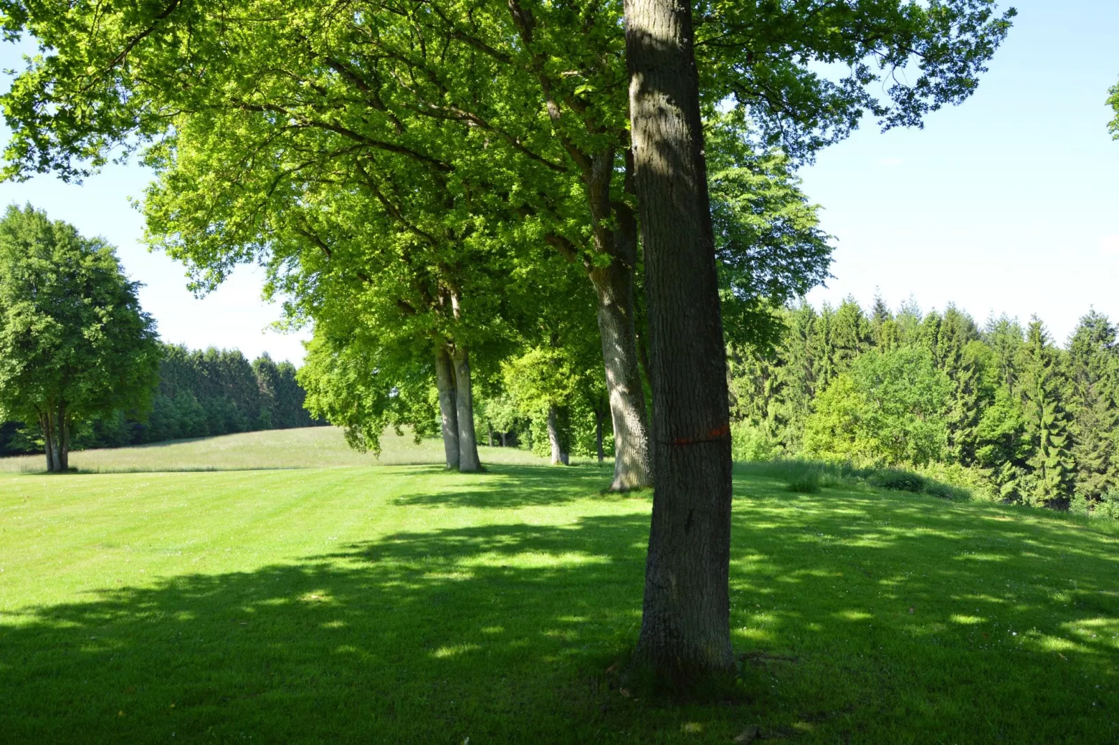 Cabane panoramique-Tuinen zomer