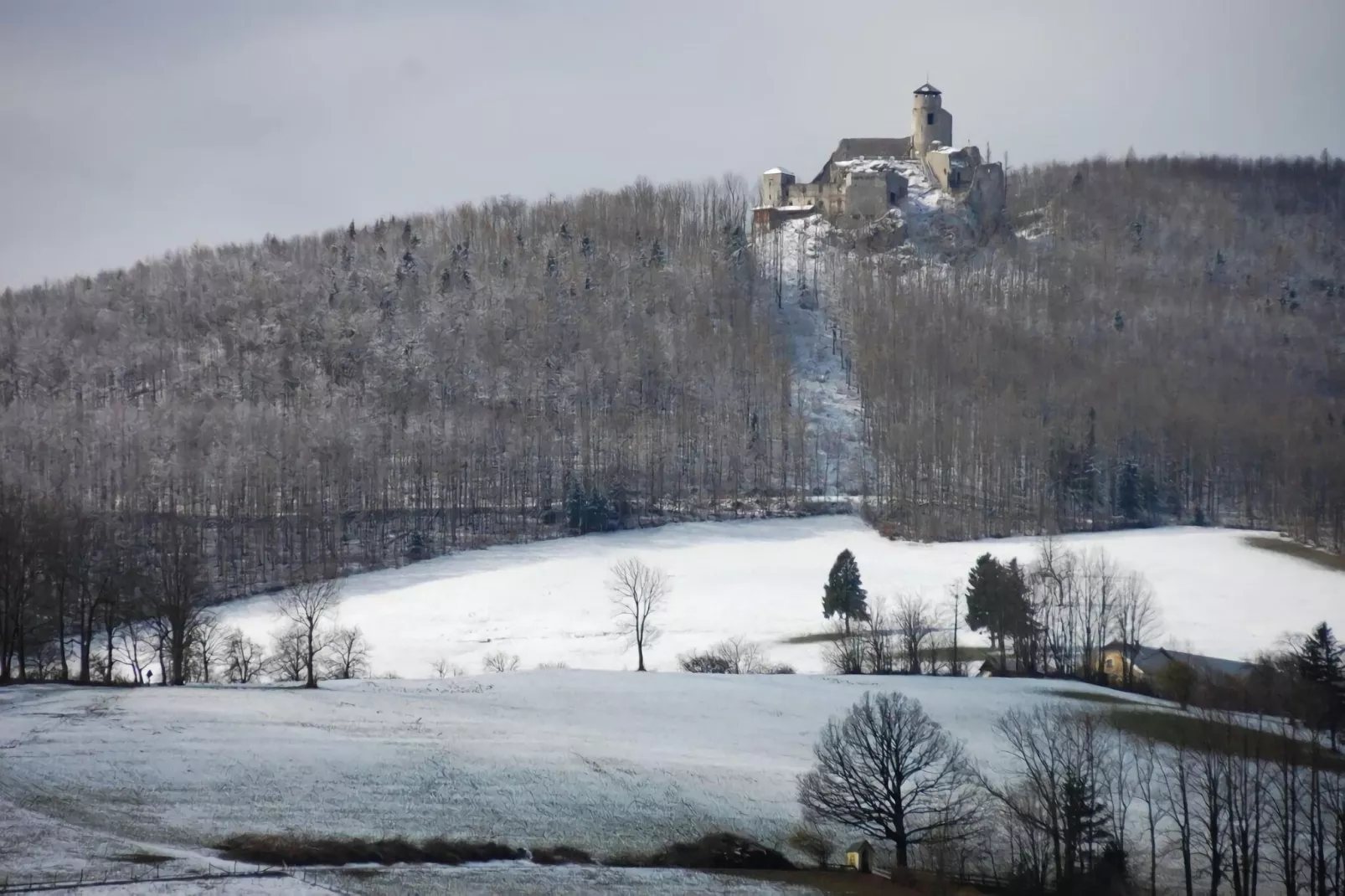 Bungalow Wienerwald-Gebied winter 5km