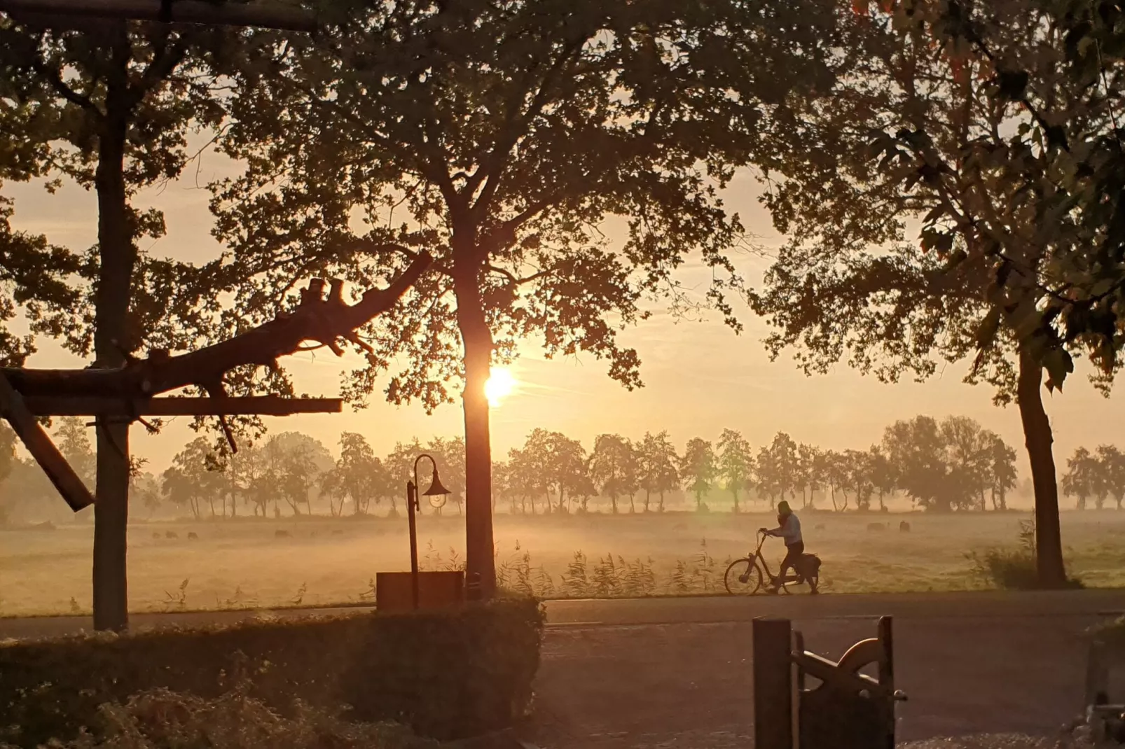 Landelijk Utrecht-Uitzicht zomer