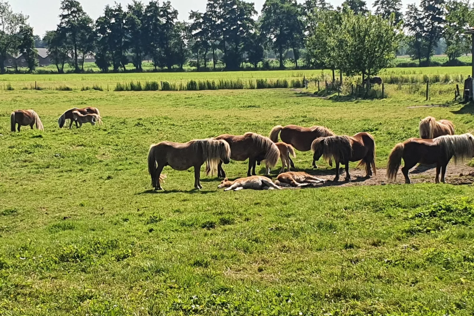 Landelijk Utrecht-Sfeer