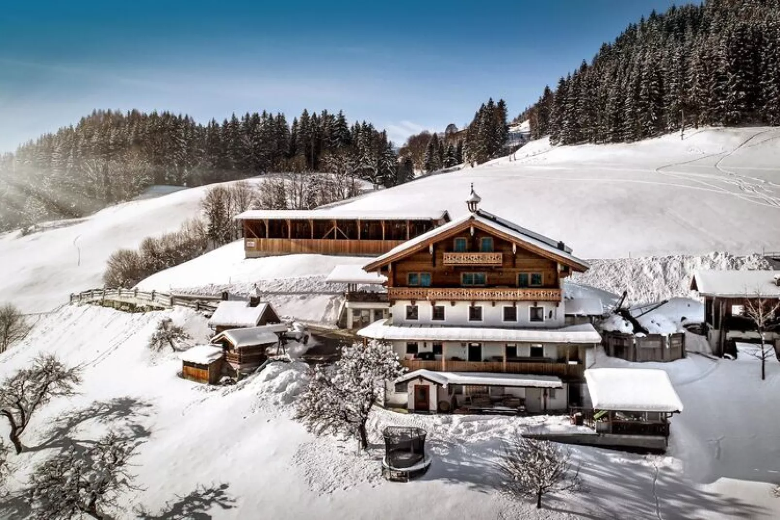 Käferhof Bramberg am Wildkogel-Exterieur winter