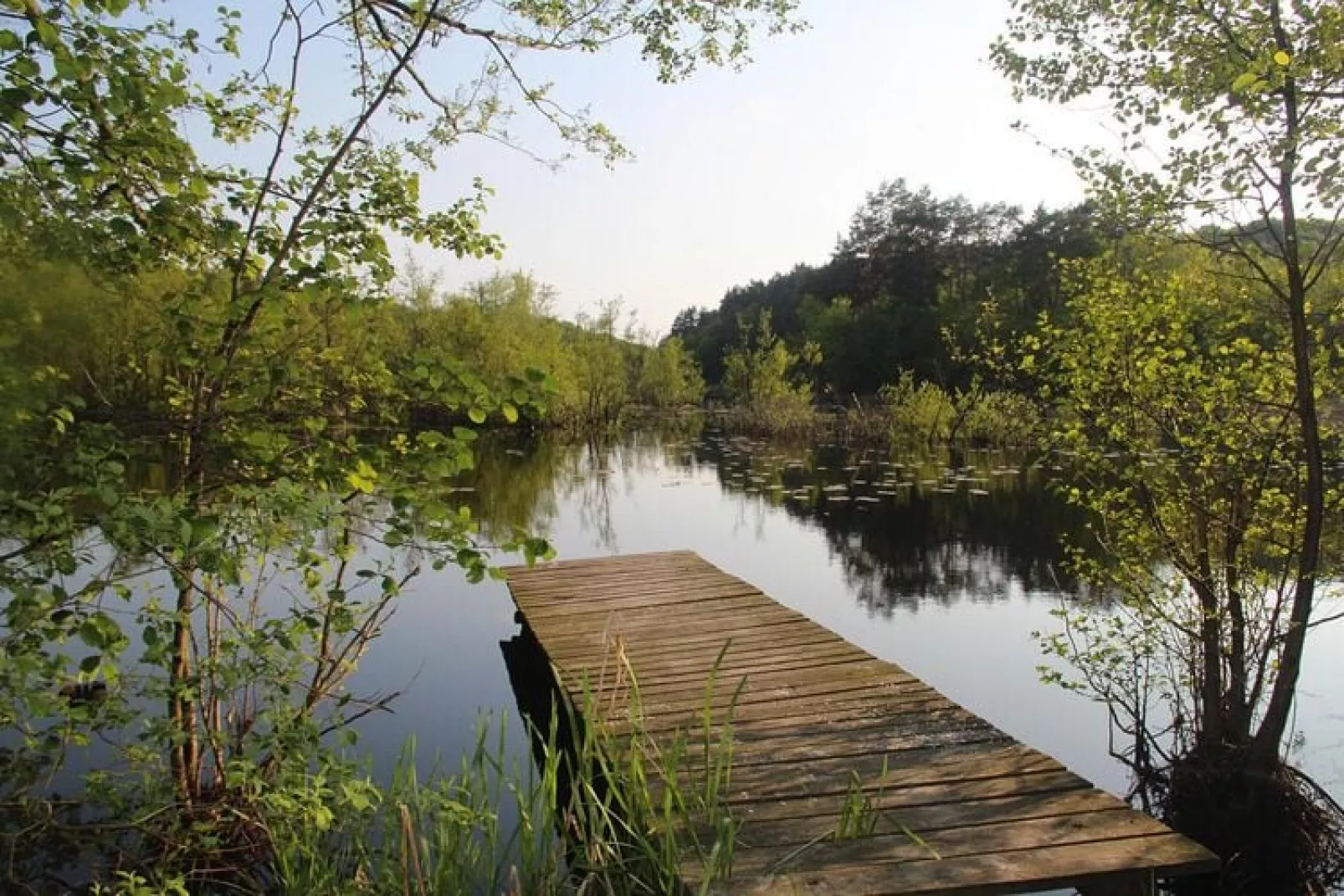 Holiday home at the lake Kolczewo WIE-Tuinen zomer