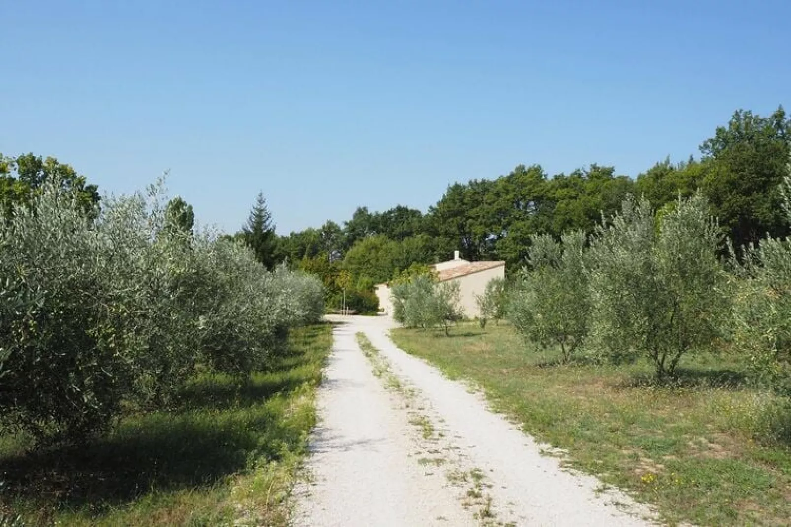 Ferienhaus in Puyméras / Villa Julia-Tuinen zomer