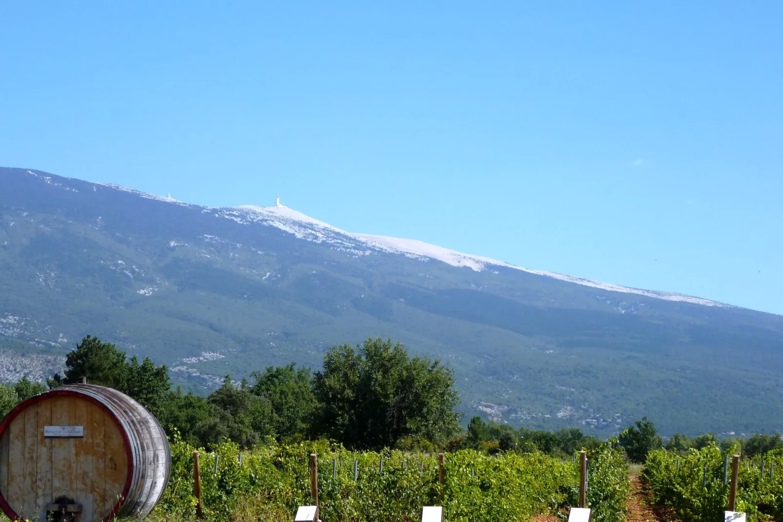 Ferienhaus in Puyméras / Villa Julia-Gebieden zomer 20km