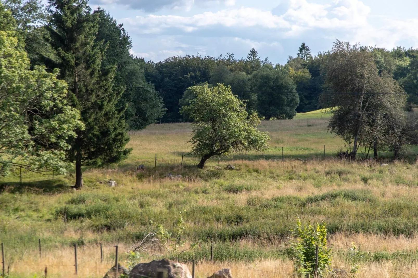 4 sterren vakantie huis in SIMLÅNGSDALEN-Niet-getagd