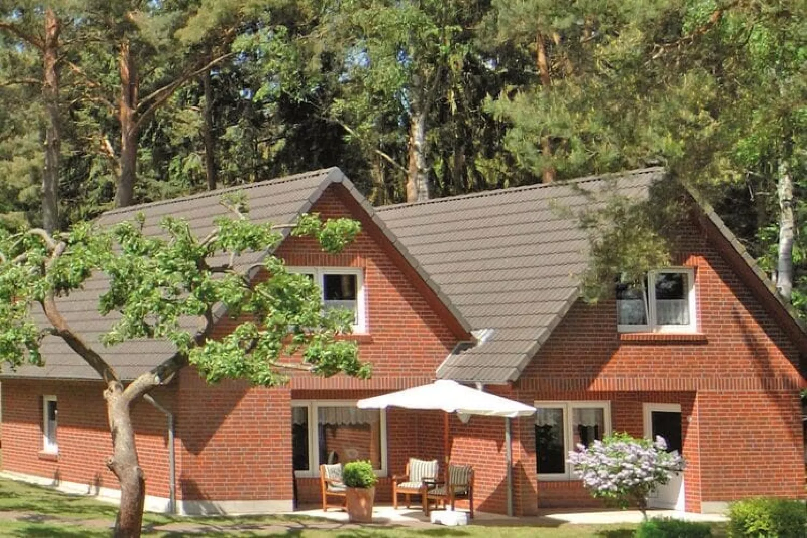 Ferienhaus in Plau am See-Buitenkant zomer