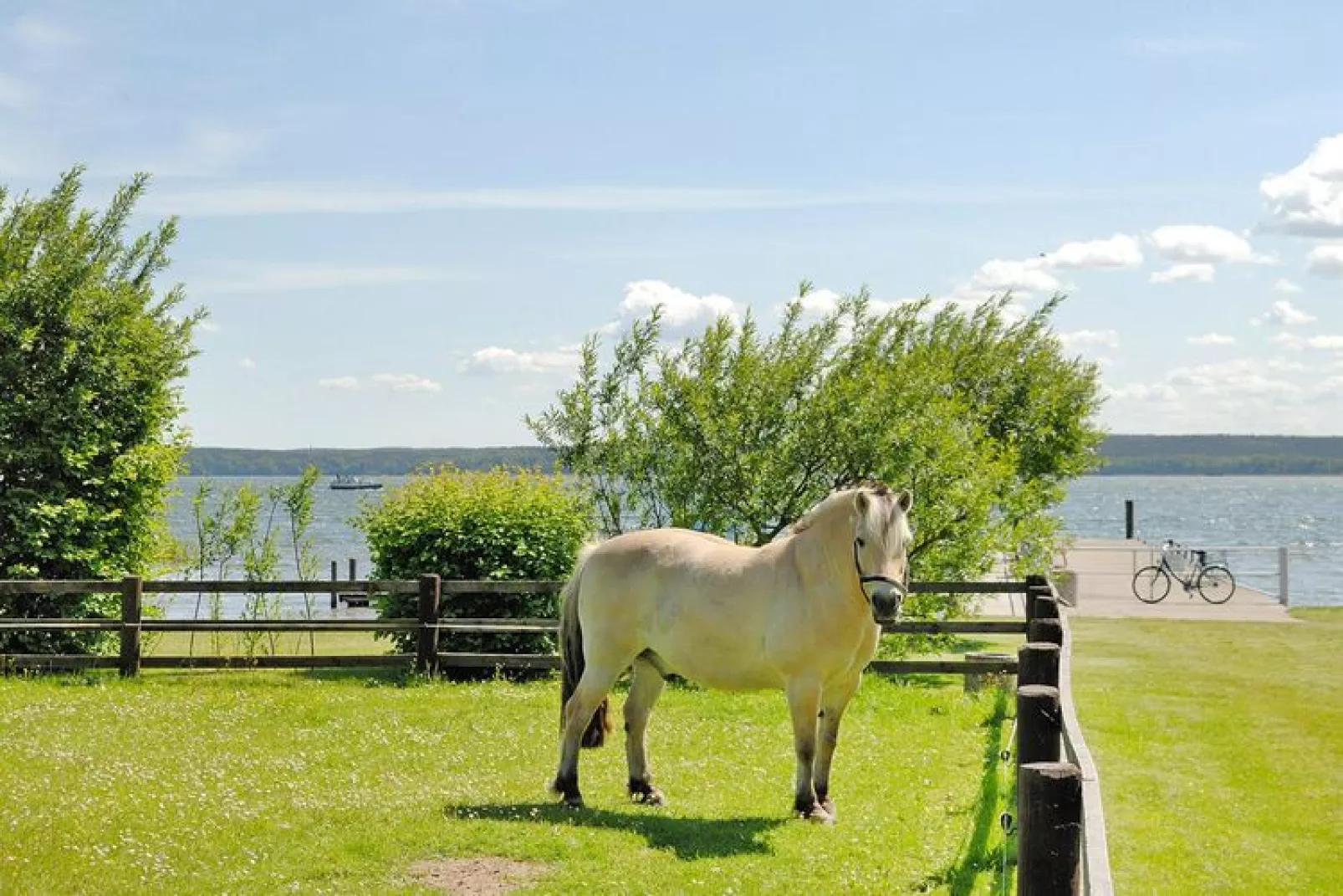 Ferienhaus in Plau am See-Waterzicht