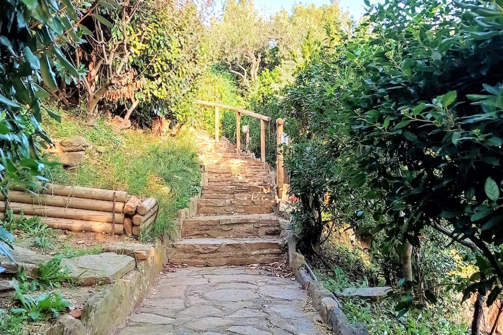 Villa avec piscine vue mer et proche plage à Bormes les Mimosas-Tuinen zomer