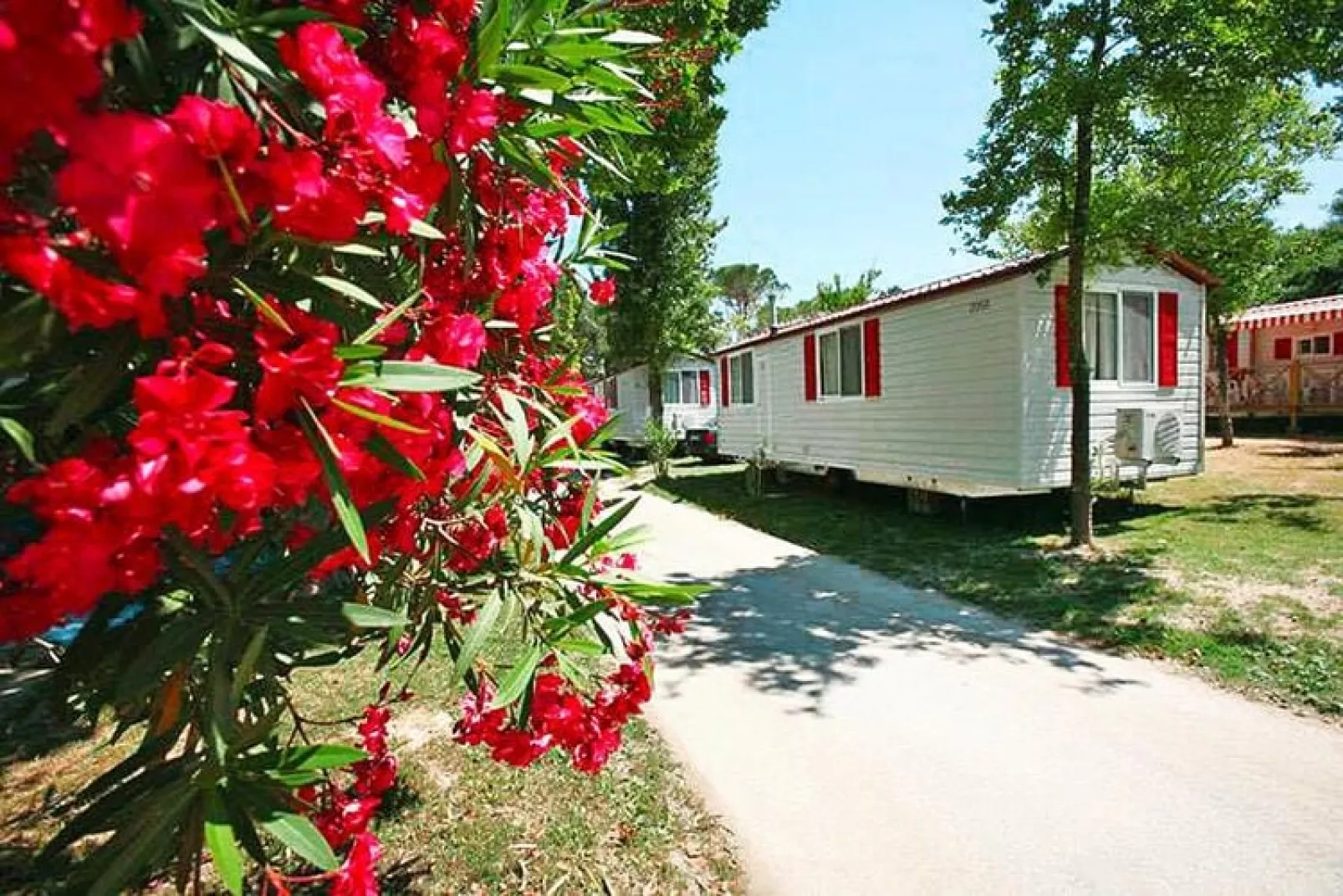 Mobile Homes San Francesco Caorle - Type MH Venice Sea View 4 Pax-Tuinen zomer