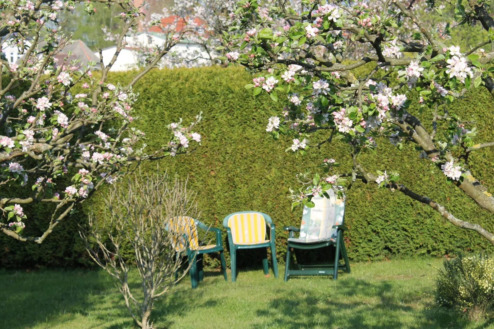 Karins Ferienwohnung-Tuinen zomer