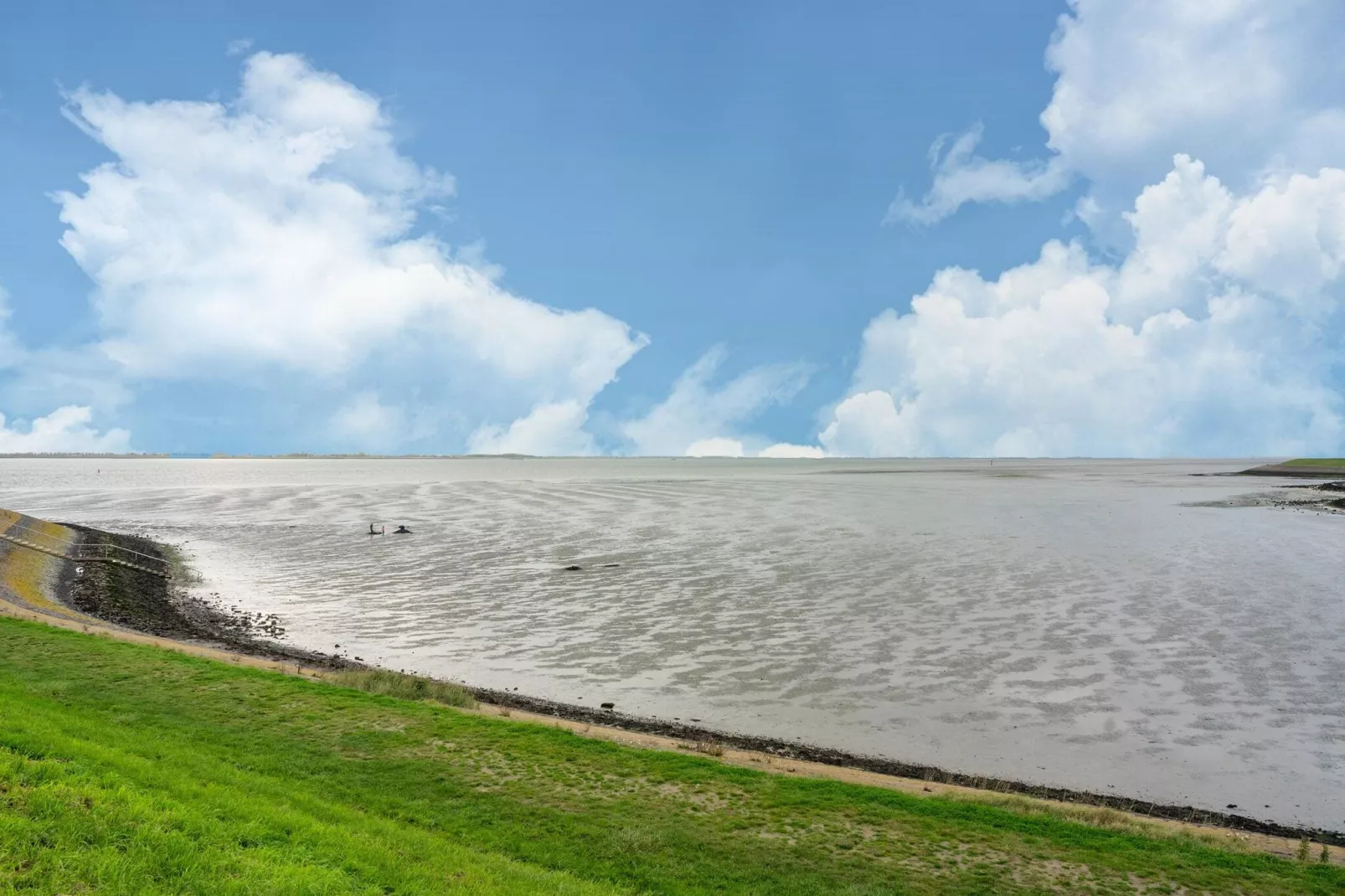 De Wulp Huis Nr 50-Gebieden zomer 5km