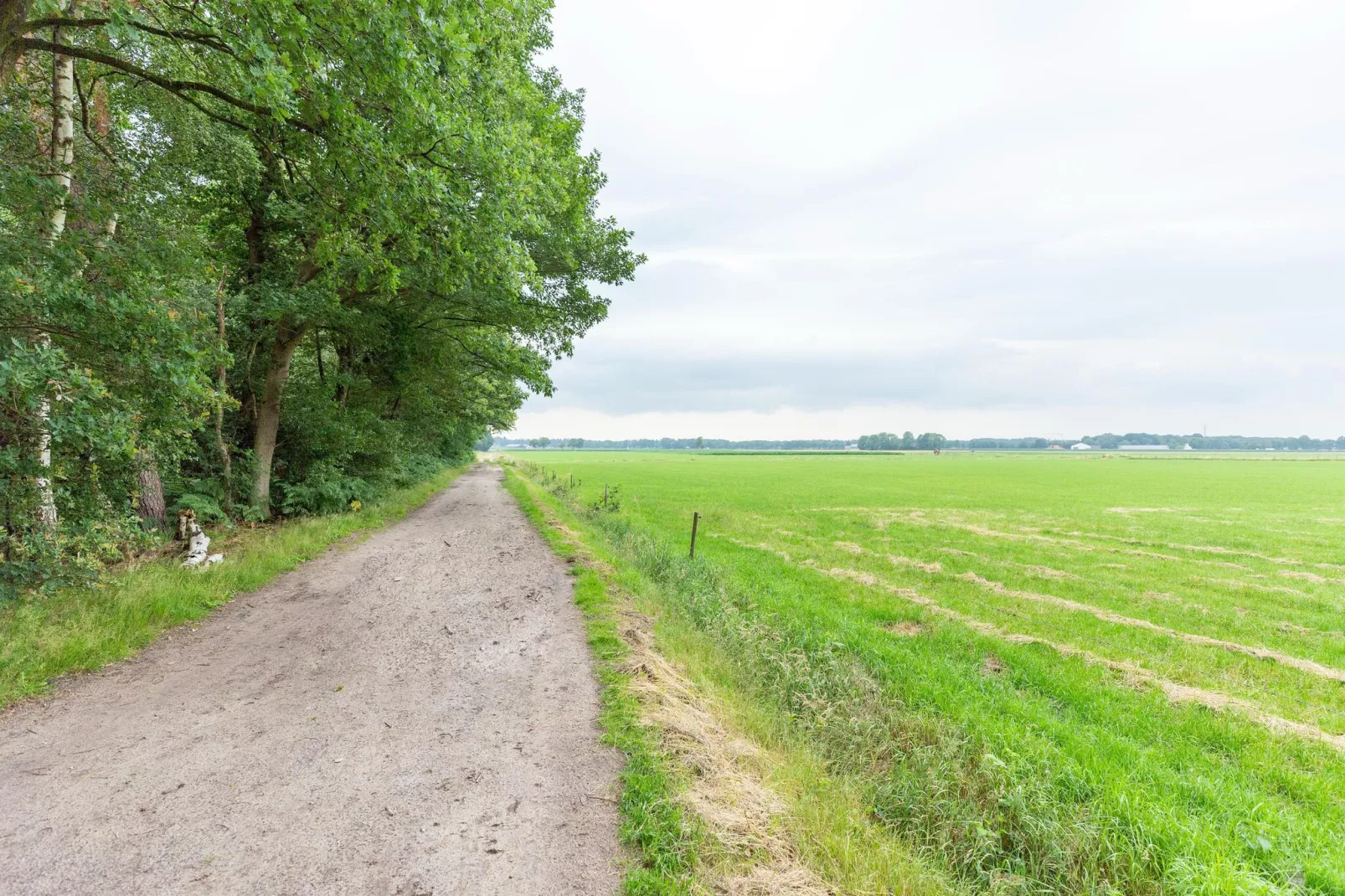 NR 4-Gebieden zomer 1km